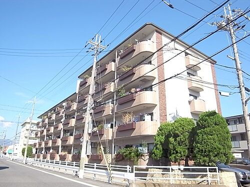 京都府京都市西京区桂北滝川町 5階建 築41年9ヶ月