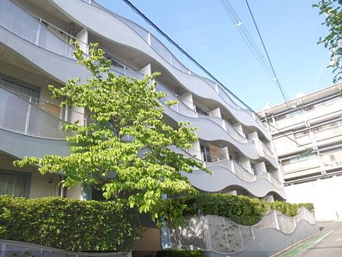 京都府京都市東山区白川筋三条下る五軒町 4階建 築29年12ヶ月