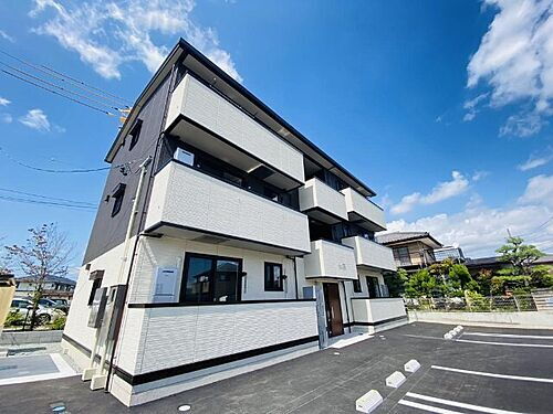 Ｌｅｍｏｎ　ｇｒａｓｓ