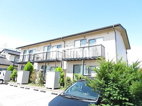 フォレスト　アオキ