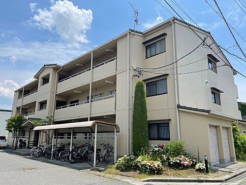 長野県松本市鎌田２丁目 賃貸マンション