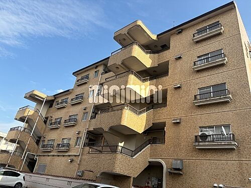 シャンポール幹ＩＩ