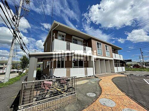 グレイスタニグチ