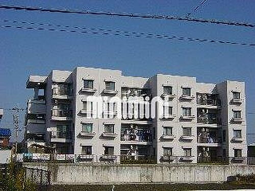 テピカルイブ３