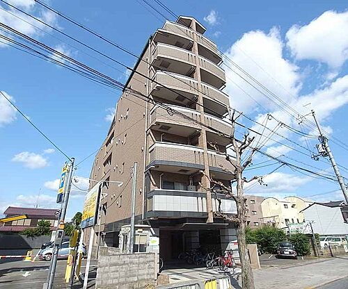 京都府京都市右京区西京極南大入町 7階建 築18年5ヶ月