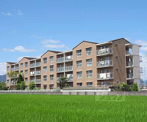 京都府京都市伏見区羽束師菱川町 築30年3ヶ月 4階建