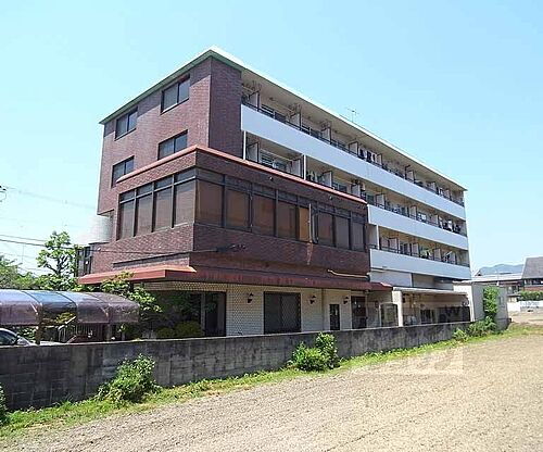 京都府京都市右京区太秦朱雀町 築46年9ヶ月 4階建