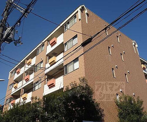 京都府京都市下京区西七条石井町 5階建 築25年8ヶ月