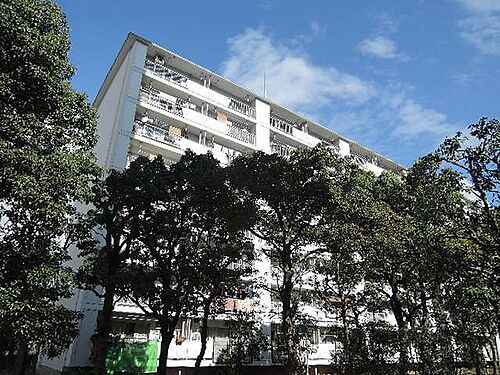京都府京都市伏見区石田森南町 8階建 築50年4ヶ月