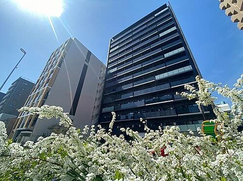 パークアクシス新栄 新栄町駅 1K 賃貸(賃貸マンション・アパート)