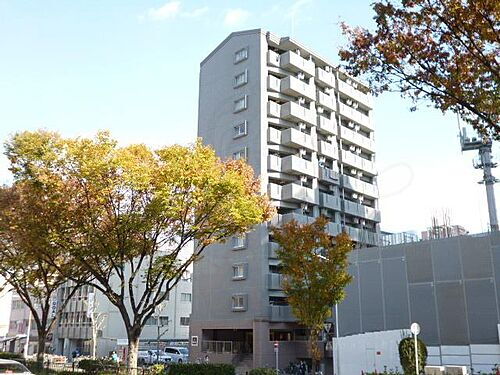愛知県名古屋市中区上前津２丁目 賃貸マンション