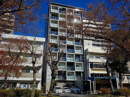 ＣＨＩＫＵＳＡ　ＲＩＳＥ