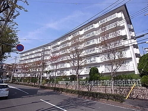 兵庫県芦屋市東山町 築55年11ヶ月 7階建