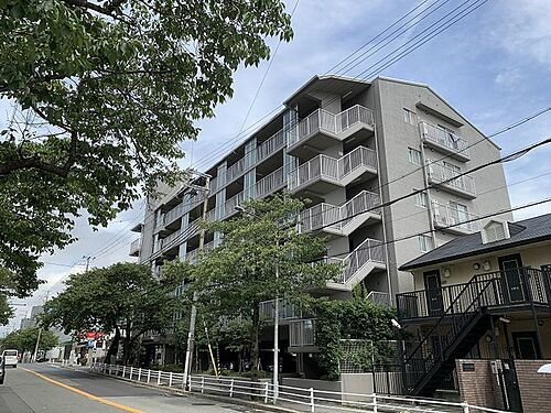 兵庫県神戸市長田区上池田３丁目 6階建 築31年7ヶ月