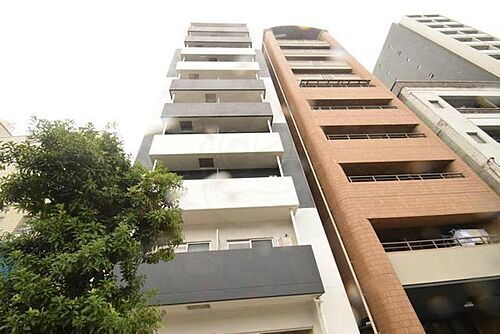 大阪府大阪市浪速区下寺１丁目 築7年10ヶ月 10階建