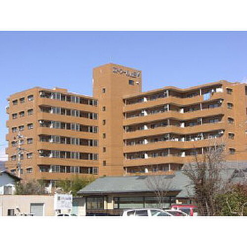 長野県上田市常入１丁目 11階建 築33年4ヶ月