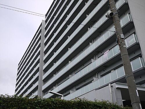 東京都江東区辰巳２丁目 賃貸マンション