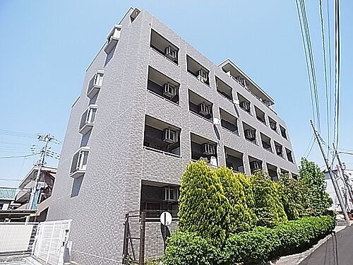 千葉県柏市あけぼの４丁目 賃貸マンション