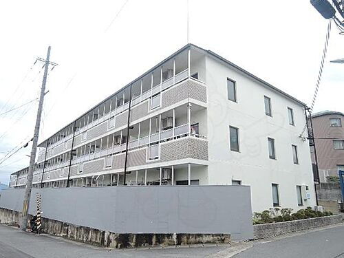 京都府京都市伏見区深草大亀谷大山町 3階建 築35年11ヶ月