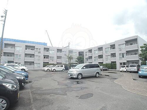 京都府京都市中京区壬生花井町 賃貸マンション