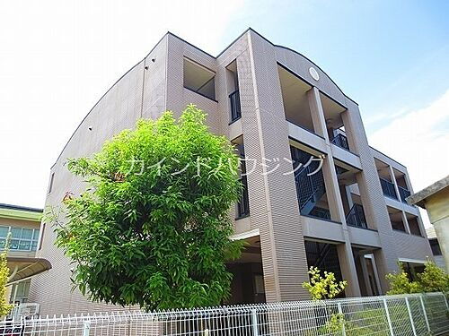 大阪府泉南市信達市場 賃貸マンション