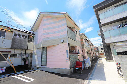 ピンクフラミンゴ