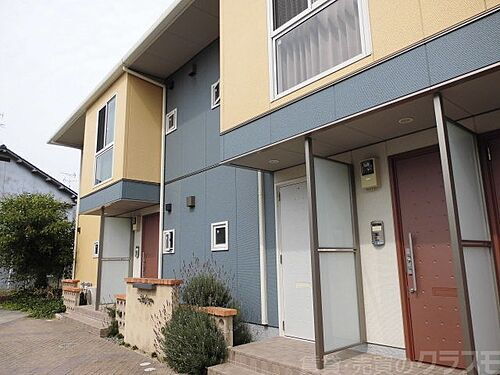 ブルーオニオン