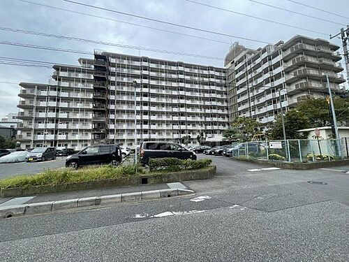 千葉県船橋市本郷町 10階建 築48年5ヶ月