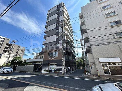 千葉県市川市八幡２丁目 10階建 築8年4ヶ月