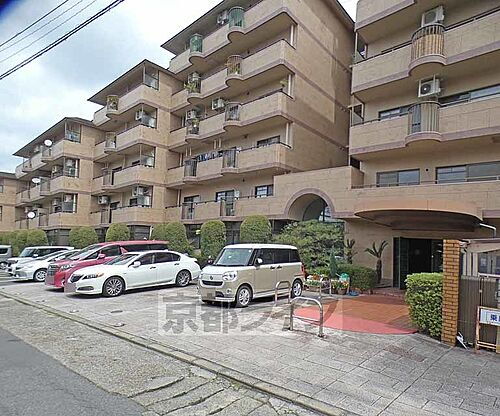 京都府京都市左京区一乗寺払殿町 6階建 築37年5ヶ月