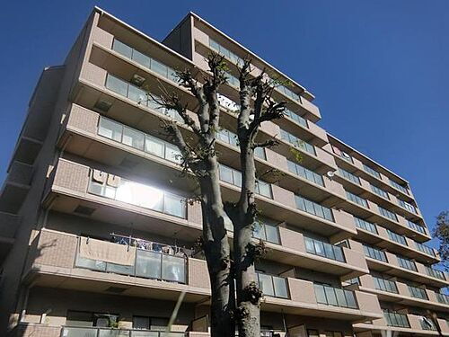 兵庫県宝塚市清荒神１丁目 賃貸マンション