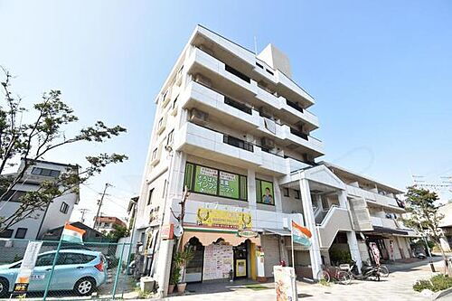 シロハイヌ久々知