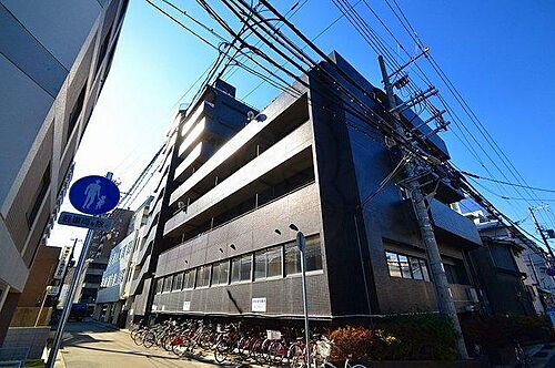 シロハイヌ尼崎