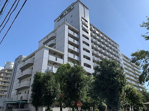 兵庫県姫路市増位新町１丁目 12階建