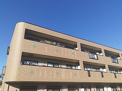 大阪府富田林市寿町３丁目 3階建 築19年11ヶ月