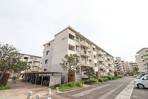千葉県柏市大津ケ丘３丁目 賃貸マンション