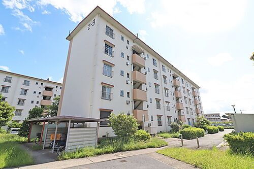 茨城県取手市井野団地 賃貸マンション