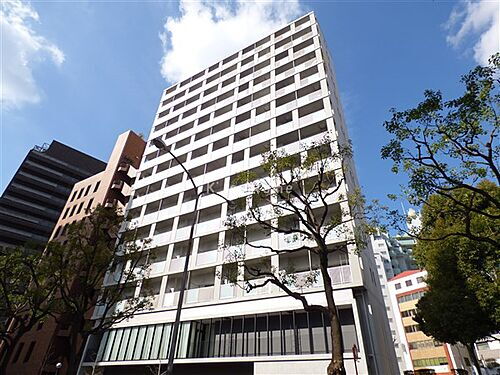 兵庫県神戸市中央区中山手通４丁目 14階建 築8年9ヶ月