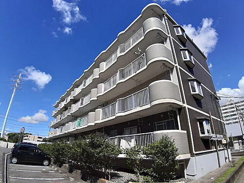 静岡県浜松市中央区渡瀬町 4階建 築31年3ヶ月