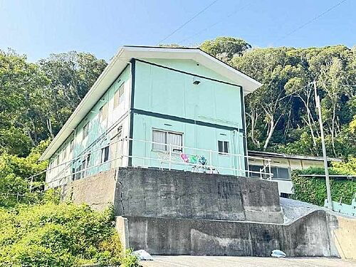 モンステラ鴨川