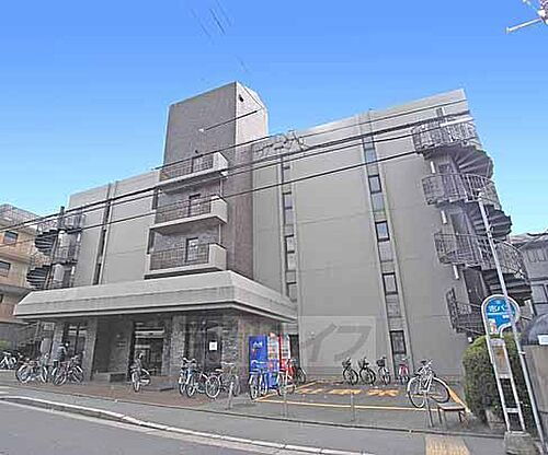 京都府京都市左京区田中樋ノ口町 5階建 築39年6ヶ月