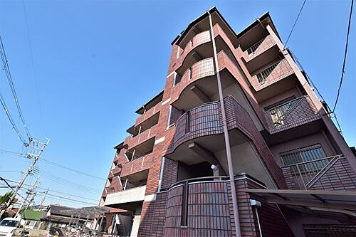 大阪府松原市北新町３丁目 5階建 築29年8ヶ月