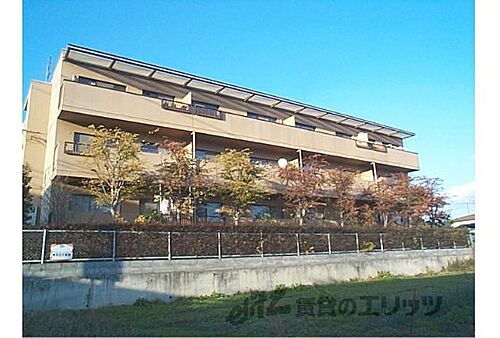 京都府長岡京市奥海印寺東条 築38年9ヶ月 3階建