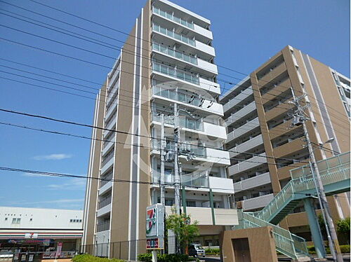 ＣＡＳＳＩＡ高井田ＳｏｕｔｈＣｏｕｒｔ 10階建