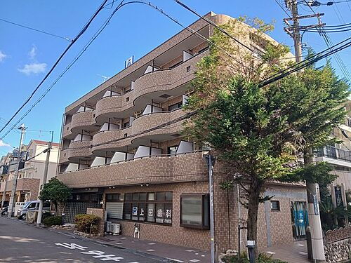 兵庫県神戸市灘区岩屋北町３丁目 賃貸マンション