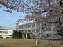 第２村田ハイツ 篠山小学校 校庭の桜