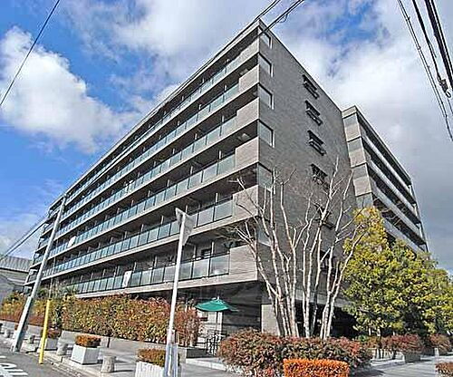 京都府京都市南区東九条室町 7階建 築19年5ヶ月