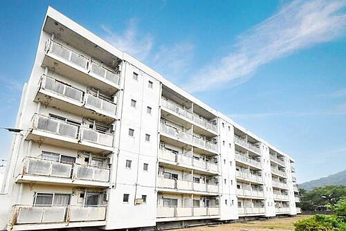 福井県越前市富士見が丘１丁目 賃貸マンション