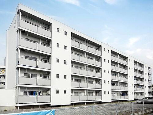 鳥取県境港市誠道町 賃貸マンション