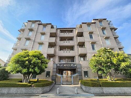 ミングルＲＯＳＡ